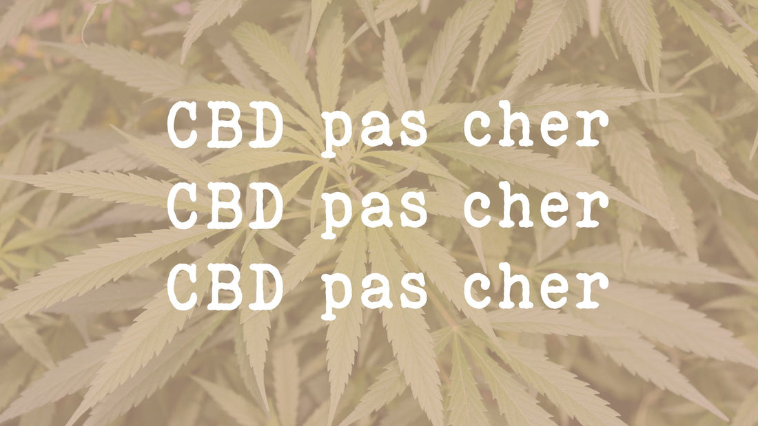 CBD pas cher : Comment trouver du CBD de qualité à petit prix ?