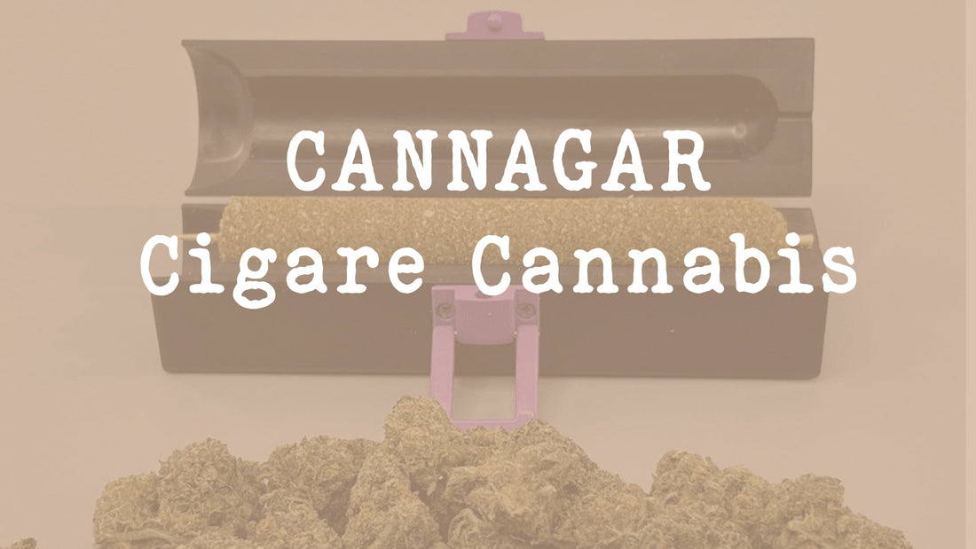 Tout savoir sur les Cannagar - cigare au cannabis