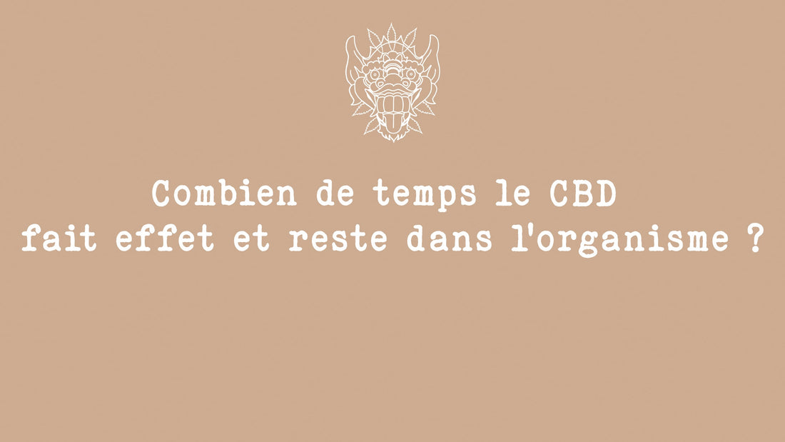 Combien de temps le CBD fait-il effet et reste dans l'organisme ? Combien de temps le CBD reste dans le sang et dans l'urine ?