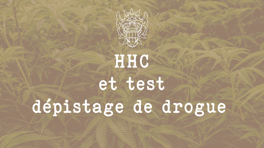 HHC, THCP, THCV tout savoir sur les tests de Dépistage de Drogue