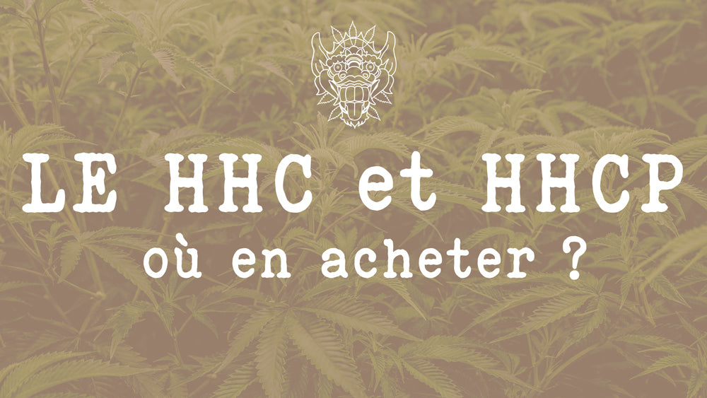 où acheter du THCP et THCV en France ? HHC HHCP H H C - H H C P -