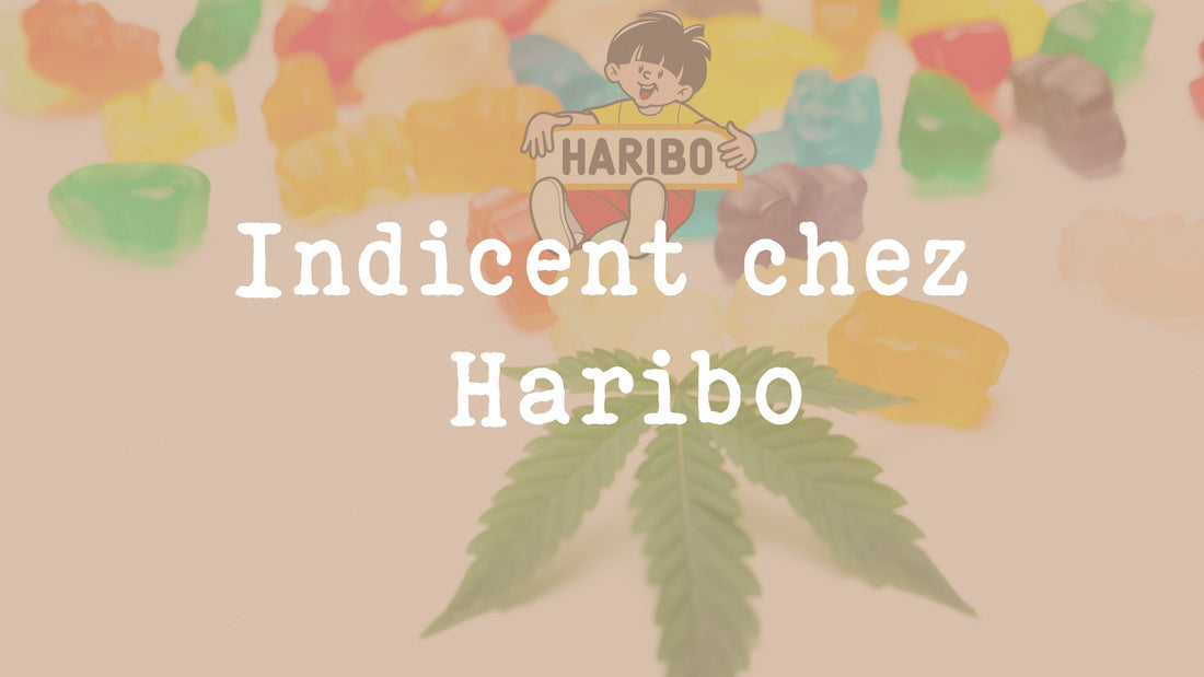 Édibles au THC : Que s’est-il vraiment passé avec les bonbons Haribo ?