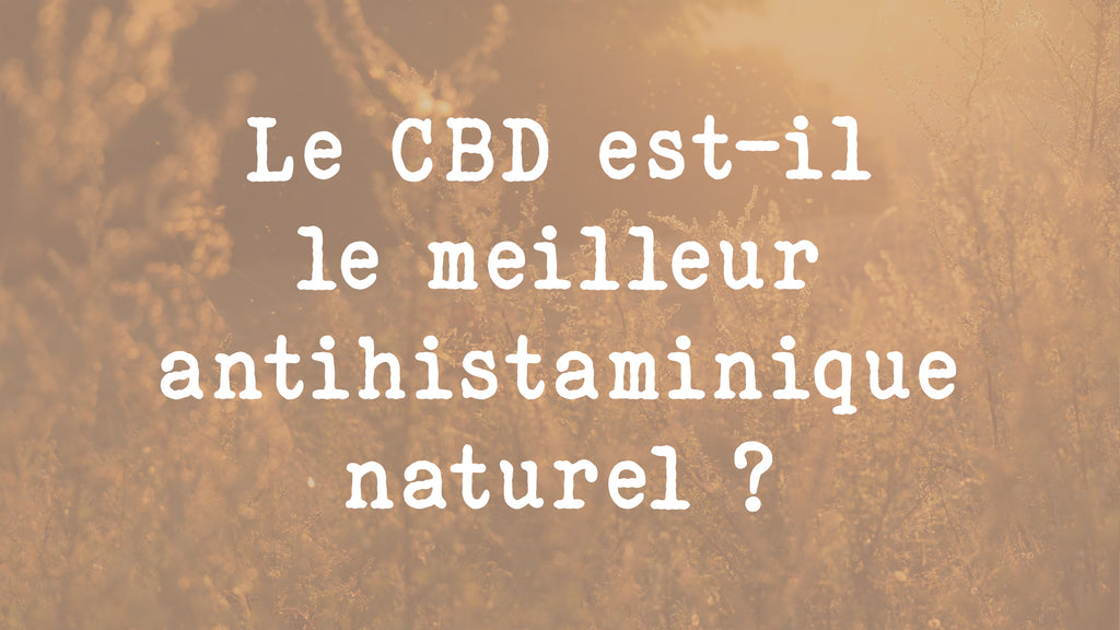 Le CBD est-il le meilleur antihistaminique naturel ?  barong CBD shop - Barong CBDshop - antihistaminique liste