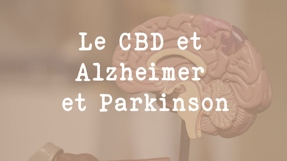Le CBD et les maladies neurodégénératives : Alzheimer et Parkinson