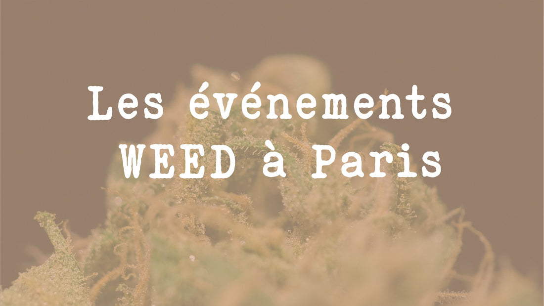 Les événements WEED à Paris : Cannaparade, Appel du 18 Joint et l’engagement du CIRC