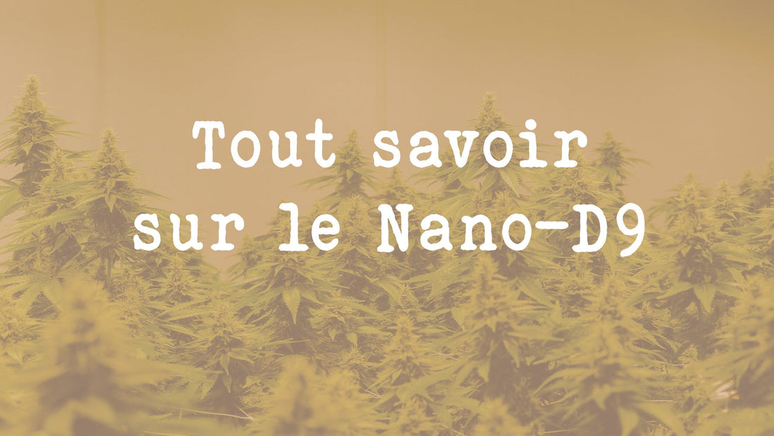Tout savoir sur le Nano D9