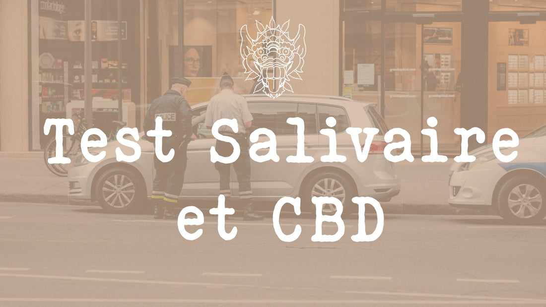 THC au volant et consommation de CBD en 2024