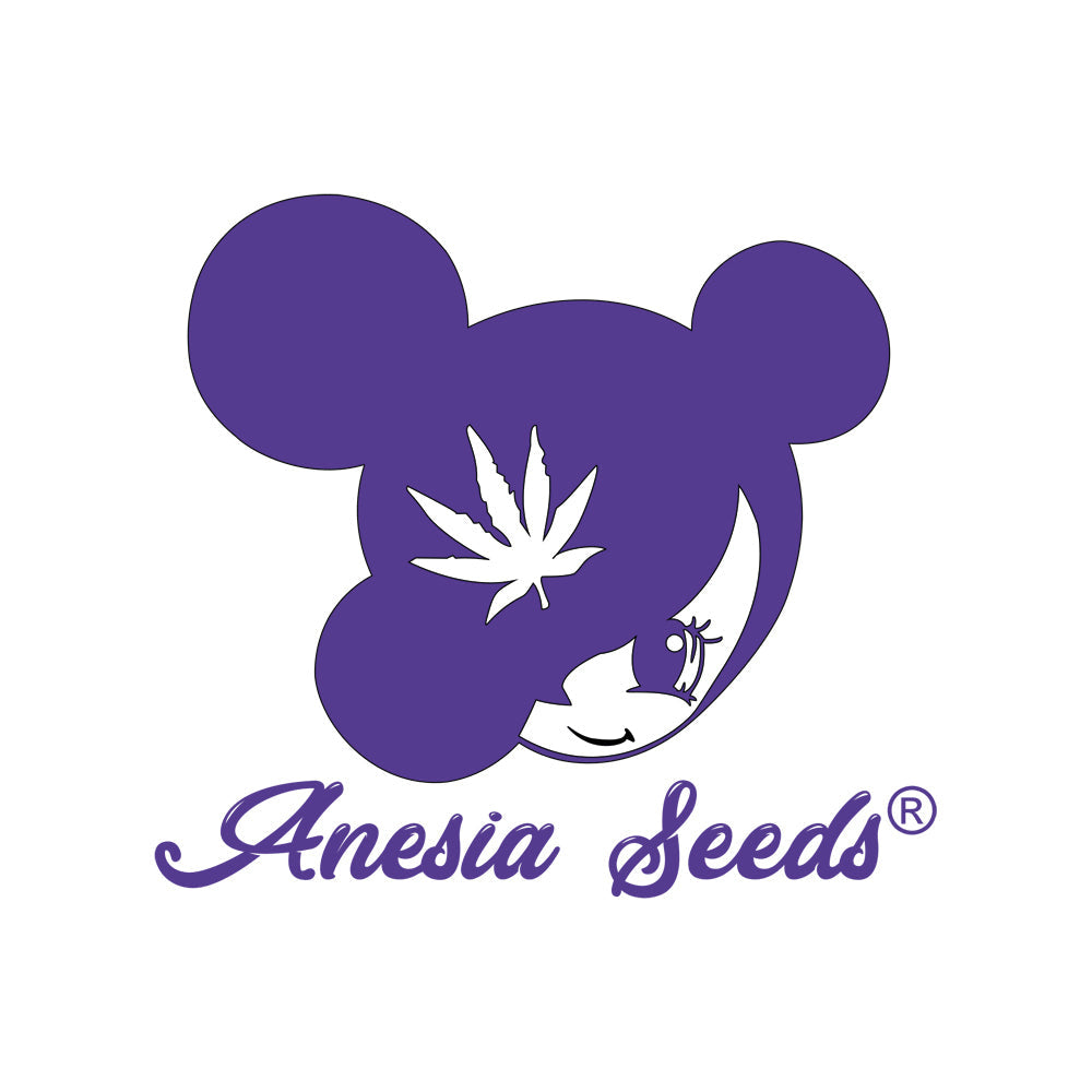 Anesia Seeds graine de cannabis