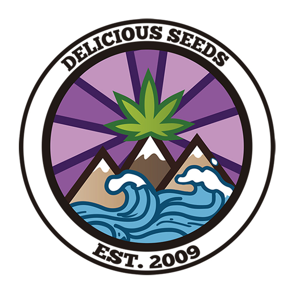 Delicious Seeds graine de cannabis