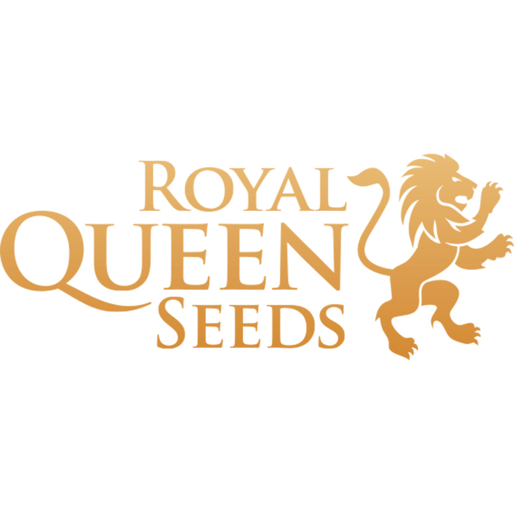 Royal Queen Seeds graine de cannabis RQS