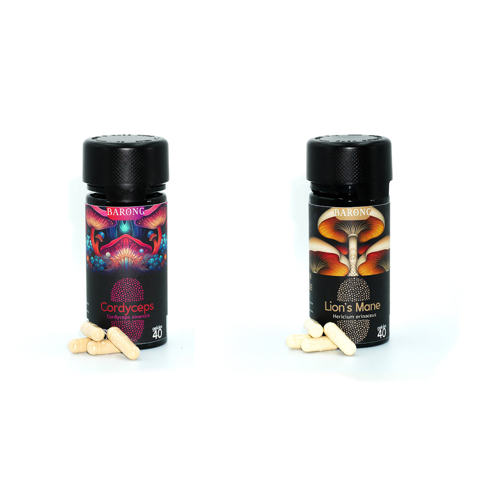 Mush n Go - French Mush - Pack Focus Énergie Limitless avec Lion's Mane et Cordyceps