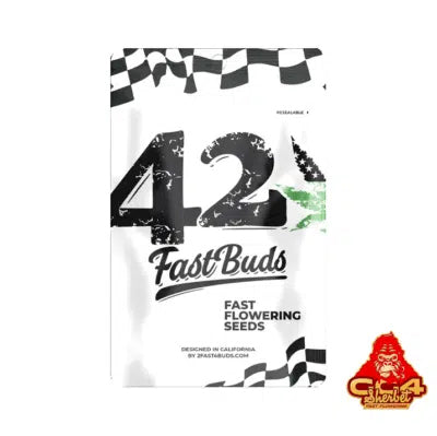 GG4 Sherbet Fast Flowering - FastBuds