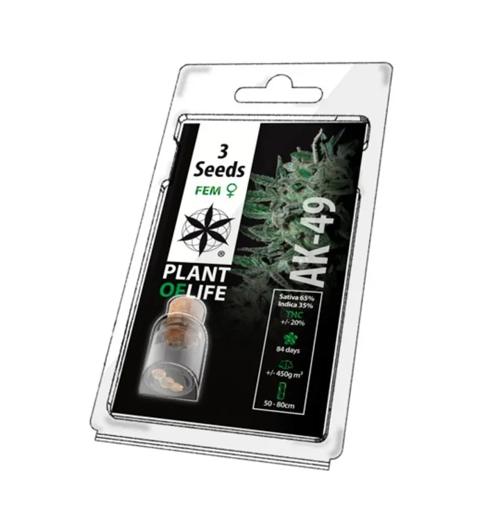 Graine de cannabis AK 49 - AK49