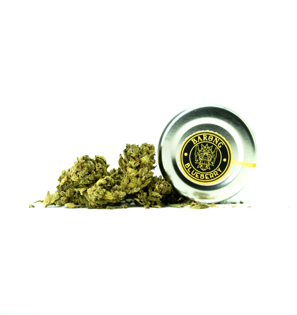 Cannabidiol CBD - Fleurs de CBD Blueberry - Barong CBD Shop - Fumer CBD - Livraison gratuite en France