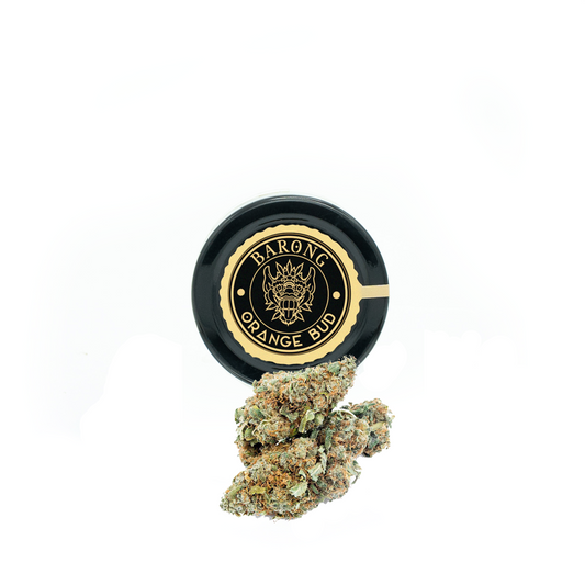 Fleurs de CBD Orange Bud Prenium - Barong CBD Shop - Cannabidiol