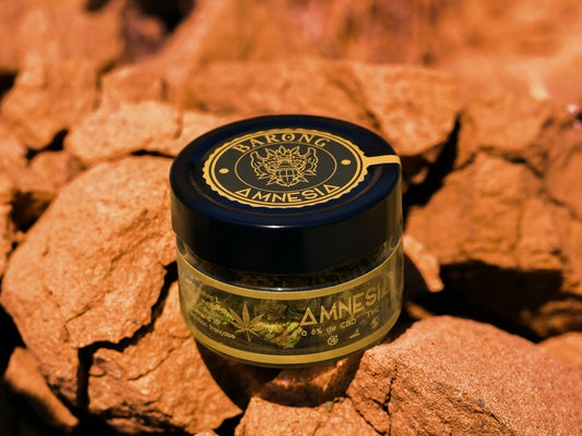 Amnesia taux de cbd légales en france utilisation du cbd dominance sativa variété de chanvre 18 ans fleur de cbd amnesia l'amnesia cbd thc inférieur à 0,3 amnesia haze mode de culture cannabis légal corps gras conformément à la législation fleur de chanvre cinderella 99 cultivées en indoor pré roulées au cbd à tout moment