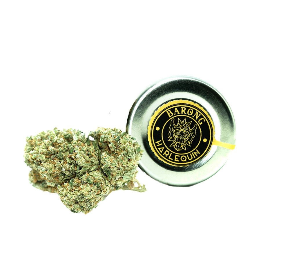 Cannabis Harlequin CBD Cannabidiol - Fleurs de CBD Cannabis Chanvre Harlequin - CBD PREMIUM - Barong CBD Shop - CBD Shop Cannabis France