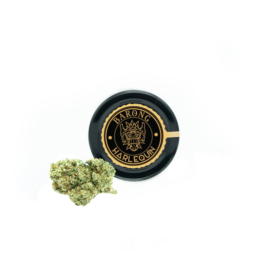 Cannabis Harlequin CBD Cannabidiol - Fleurs de CBD Cannabis Chanvre Harlequin - CBD PREMIUM - Barong CBD Shop - CBD Shop Cannabis France