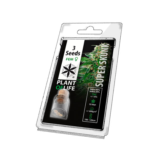 PLANT OF LIFE - Super Skunk Féminisées - 3 graines de cannabis
