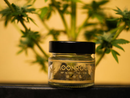 Achat Moonrock CBD - Moonrock Weed - Moonrock Beuh - Avis Moonrock CBD - Achat Moonrock HHC - Fleurs CBD le plus fort