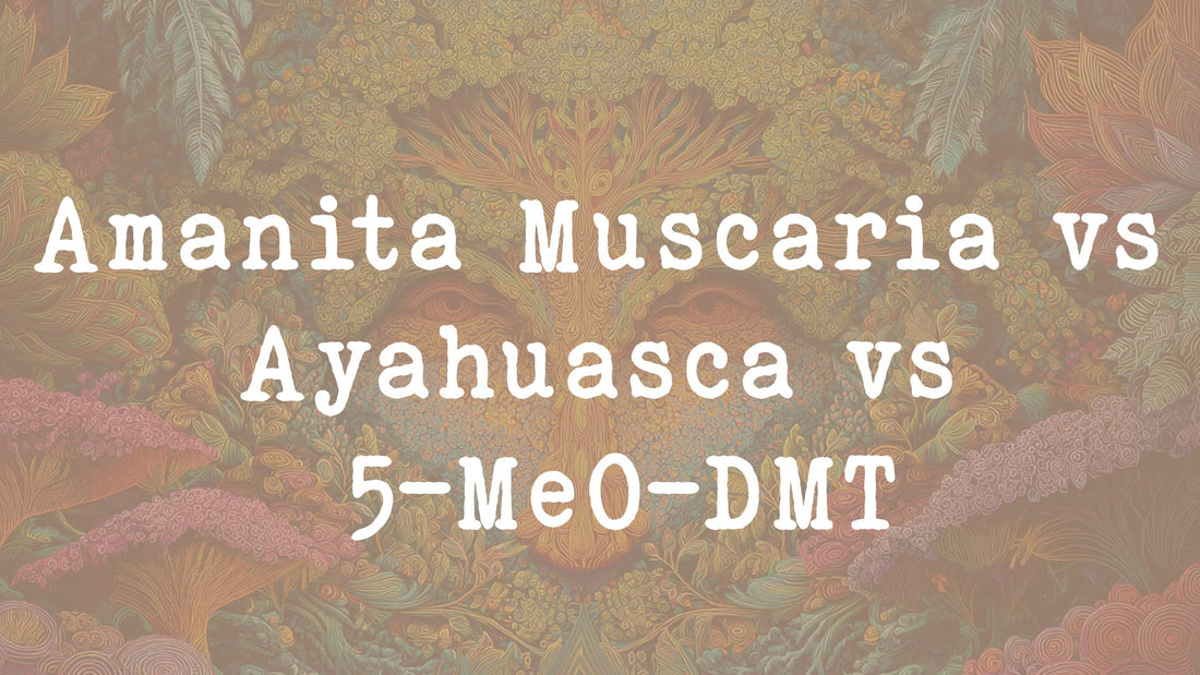Amanita Muscaria vs Ayahuasca vs 5-MeO-DMT