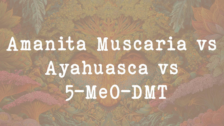 Amanita Muscaria vs Ayahuasca vs 5-MeO-DMT