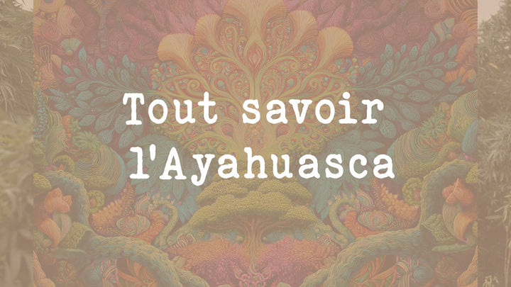 Ayahuasca definition effet