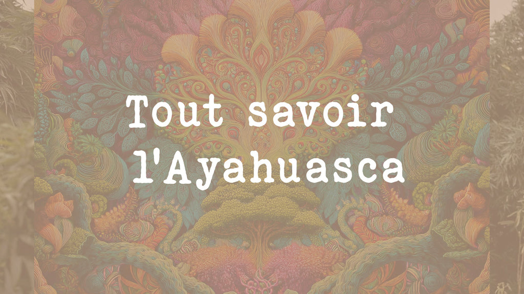 Ayahuasca definition effet