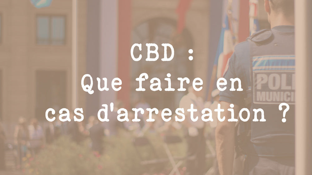 CBD : Que faire en cas d’arrestation ?