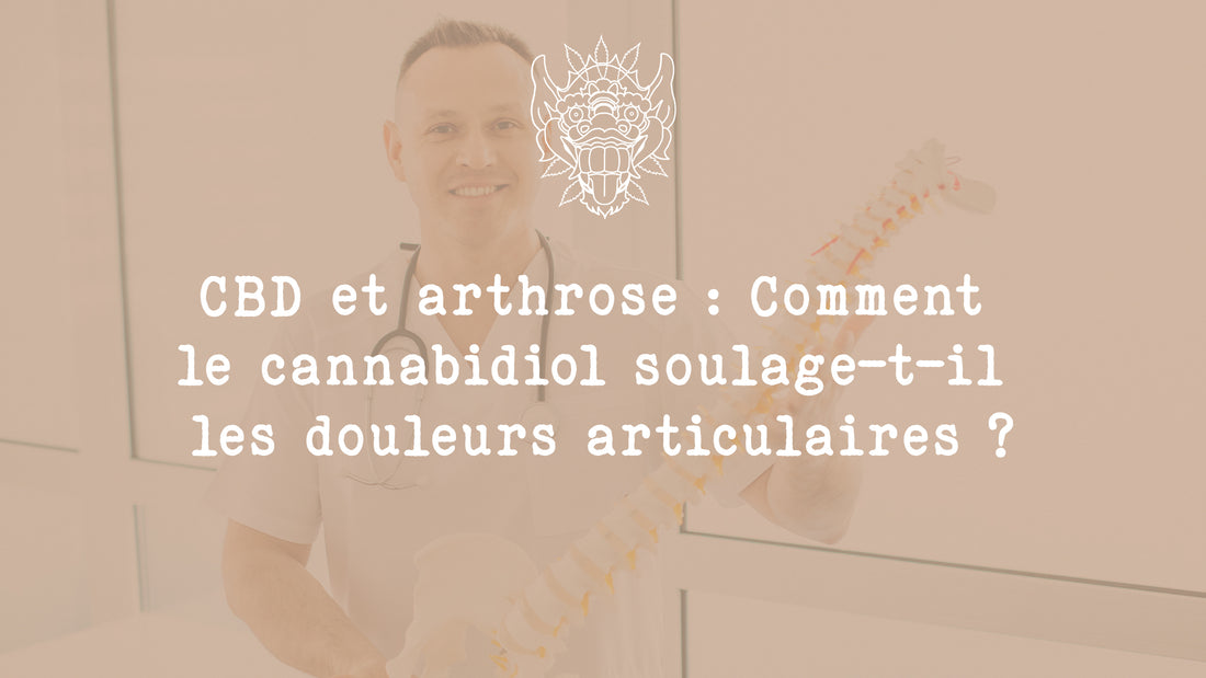 CBD et arthrose : Comment le cannabidiol soulage-t-il les douleurs articulaires ?