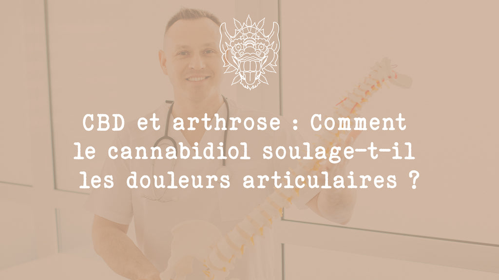 CBD et arthrose : Comment le cannabidiol soulage-t-il les douleurs articulaires ?