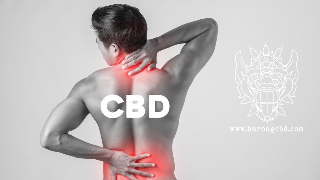 Le CBD peut soulager la spondylarthrite ankylosante ? spondylarthrite ankylosante traitement