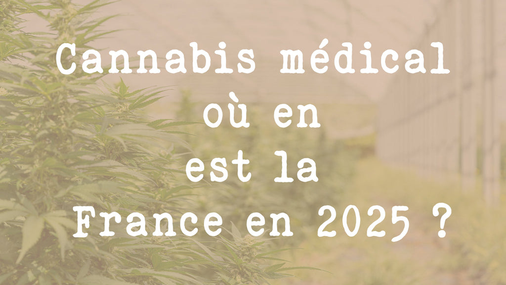 Cannabis médical : où en est la France en 2025 ?