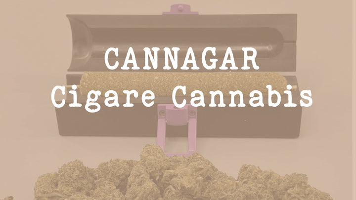 Tout savoir sur les Cannagar - cigare au cannabis