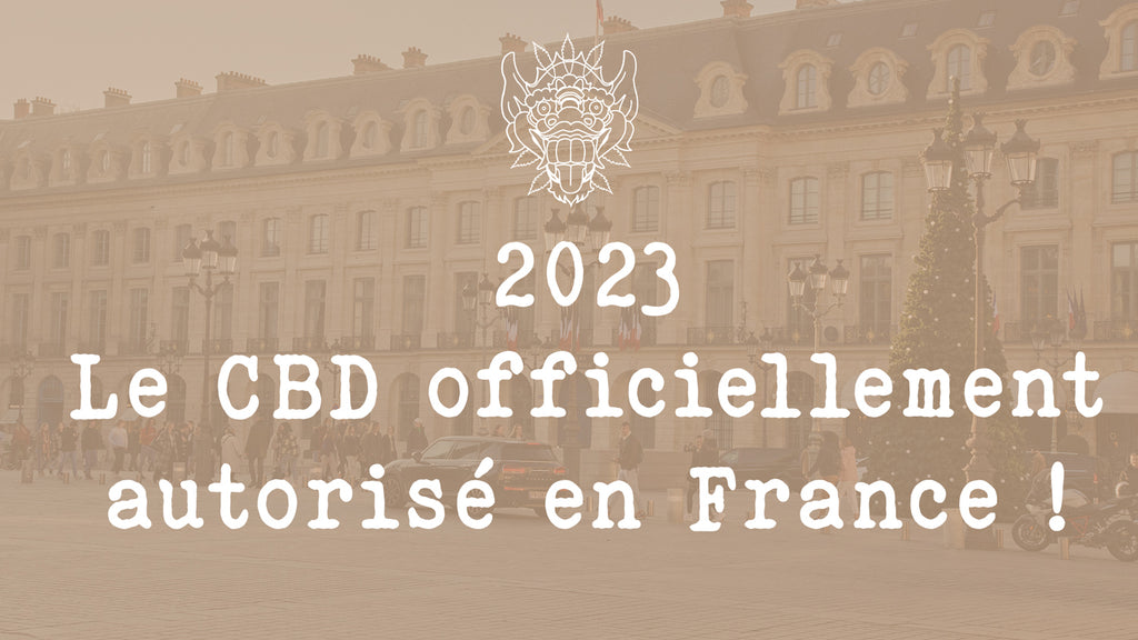 Conseil D'etat Interdiction et Autorisation de vente et commerce Fleurs de CBD chanvre