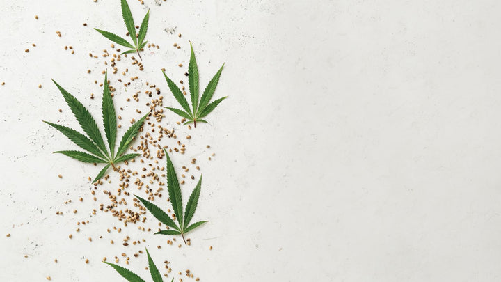 Quel est le meilleur spray anti THC