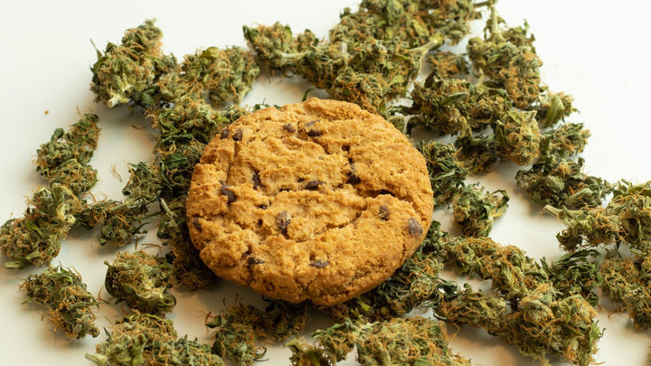 Tout savoir sur les edibles