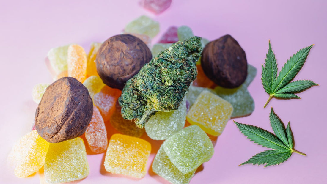 Les edibles THC : Quand la gourmandise rencontre le chill