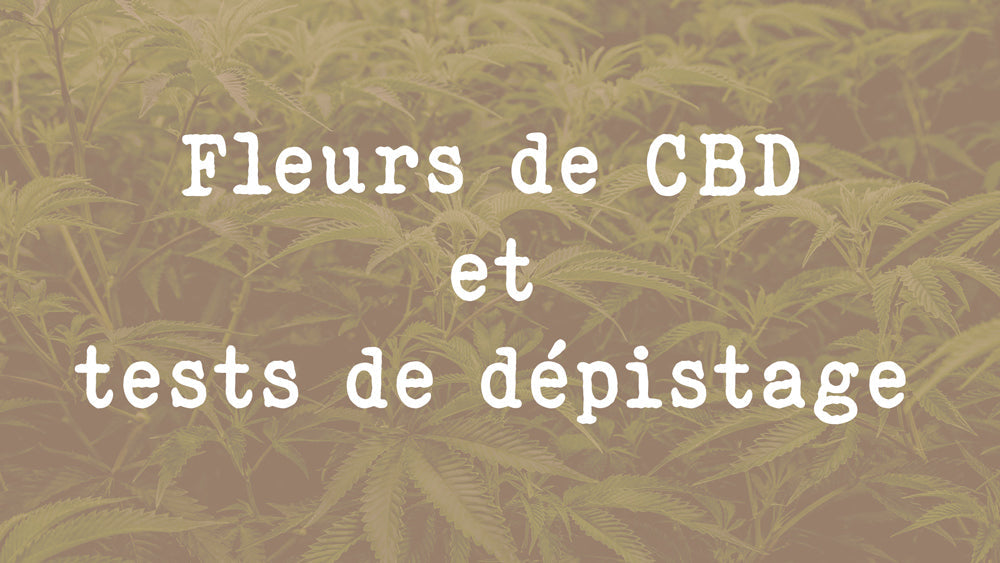 Fleurs de CBD et tests de dépistage : faut-il s’inquiéter ?