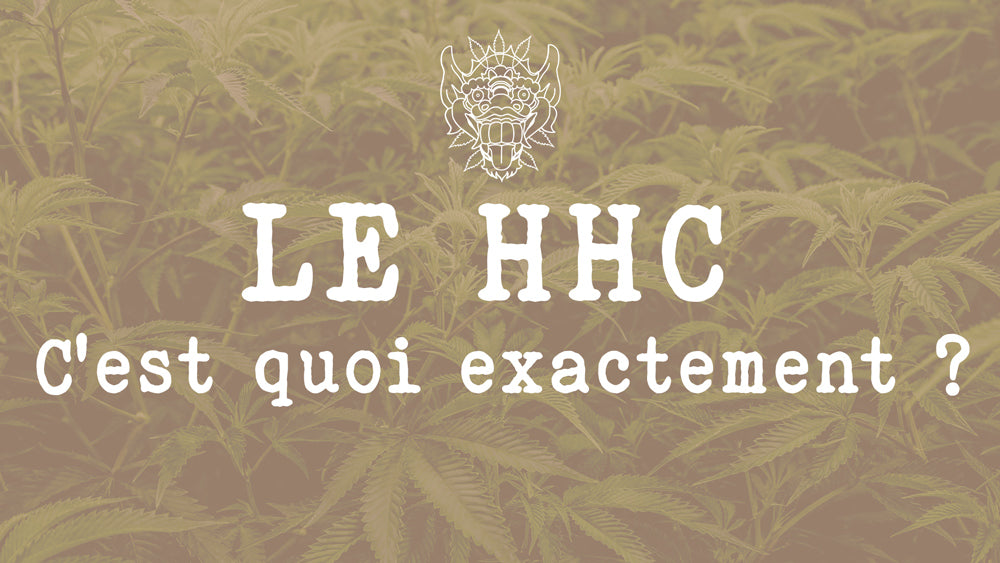 Qu-est ce que le HHC ? Le HHC c'est quoi ? Achat de HHC - Acheter du HHC en france - commander du HHC - LE HHC c'est quoi - HHC CBD - HHC BHO - HHC Pure - HHC Grossiste - Vente de HHC