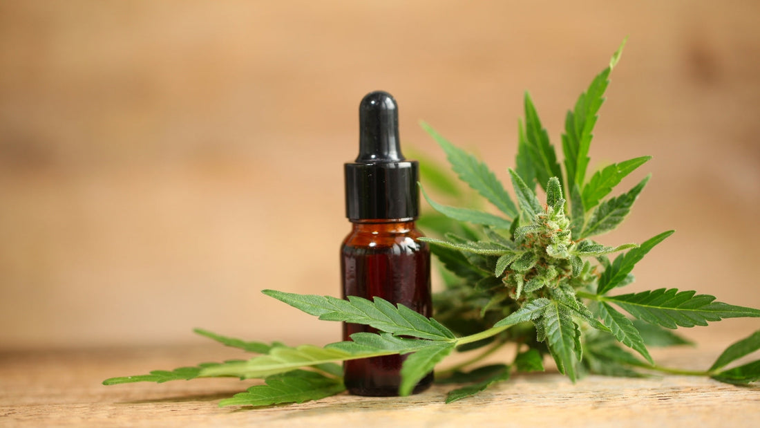 Le CBD et les douleurs menstruelles et endométriose