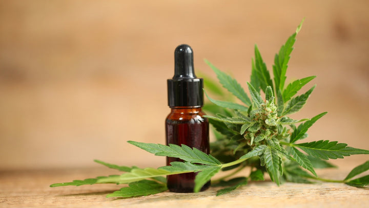 Le CBD et les douleurs menstruelles et endométriose