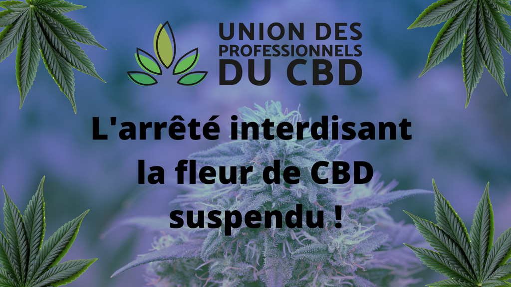 L'arrêté interdisant la fleur de CBD est suspendu - Union des professionnels du CBD - Barong CBD Shop - La fleur de nouveau légale - la fleur de CBD est t-elle interdite en france ?