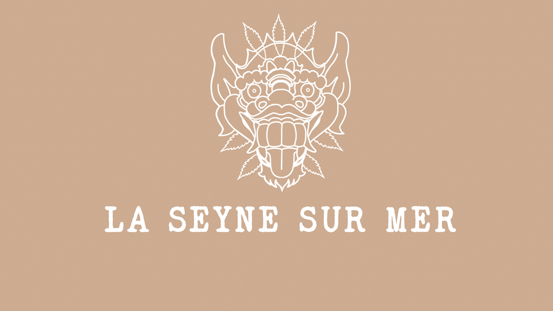 La Seyne sur Mer - CBD Shop La Seyne - Barong CBD Shop - CBD Livraison La Seyne sur Mer - 