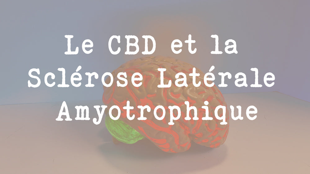 Le CBD et la Sclérose Latérale Amyotrophique