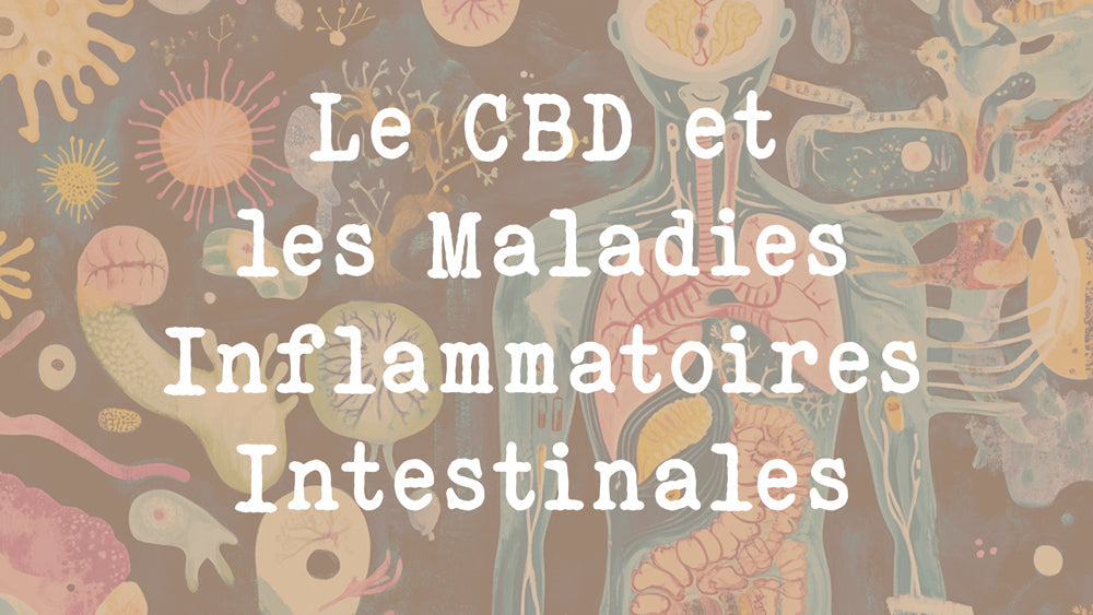 Le CBD et les Maladies Inflammatoires Intestinales : Un Soulagement Prometteur pour les Patients