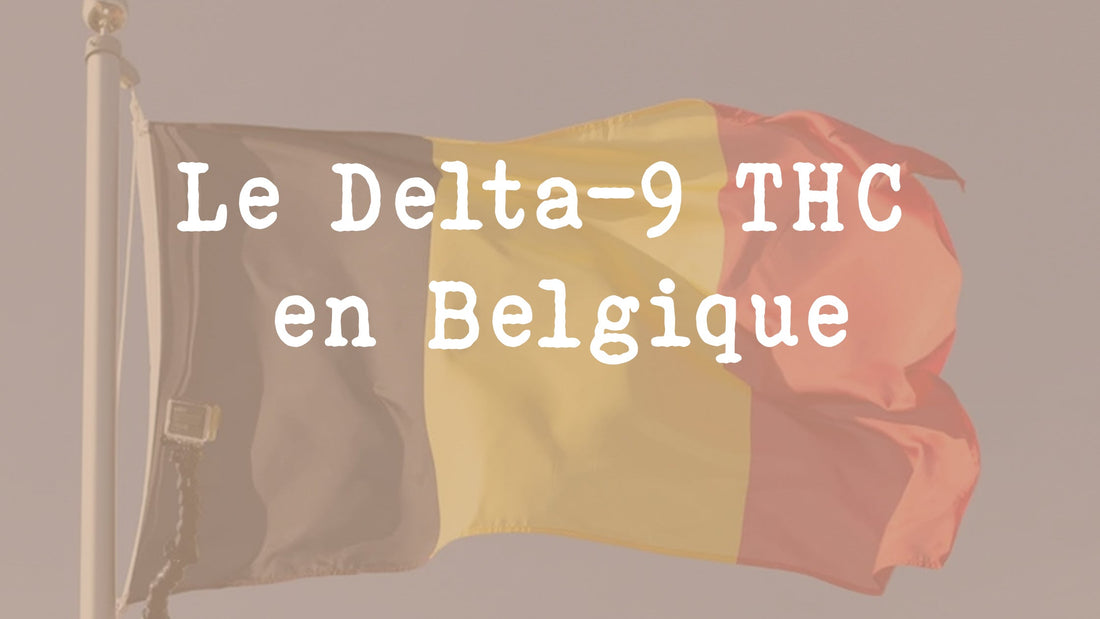 Tout savoir sur le Delta-9 THC en Belgique 