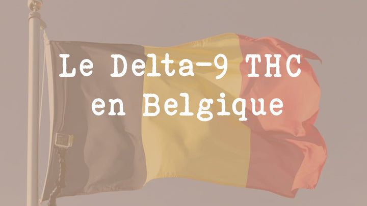 Tout savoir sur le Delta-9 THC en Belgique 