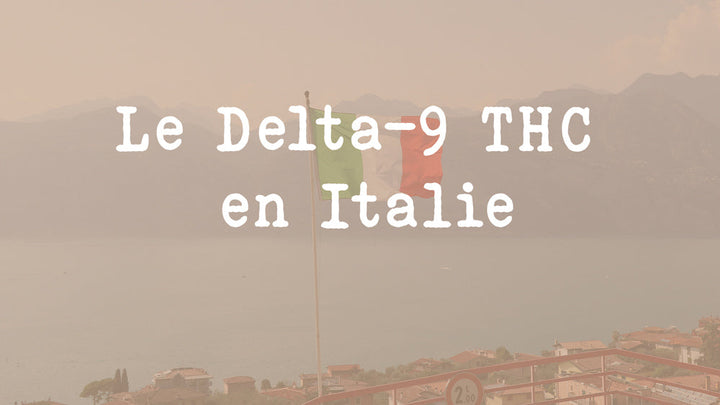 Tout savoir sur le Delta-9 THC en Italie