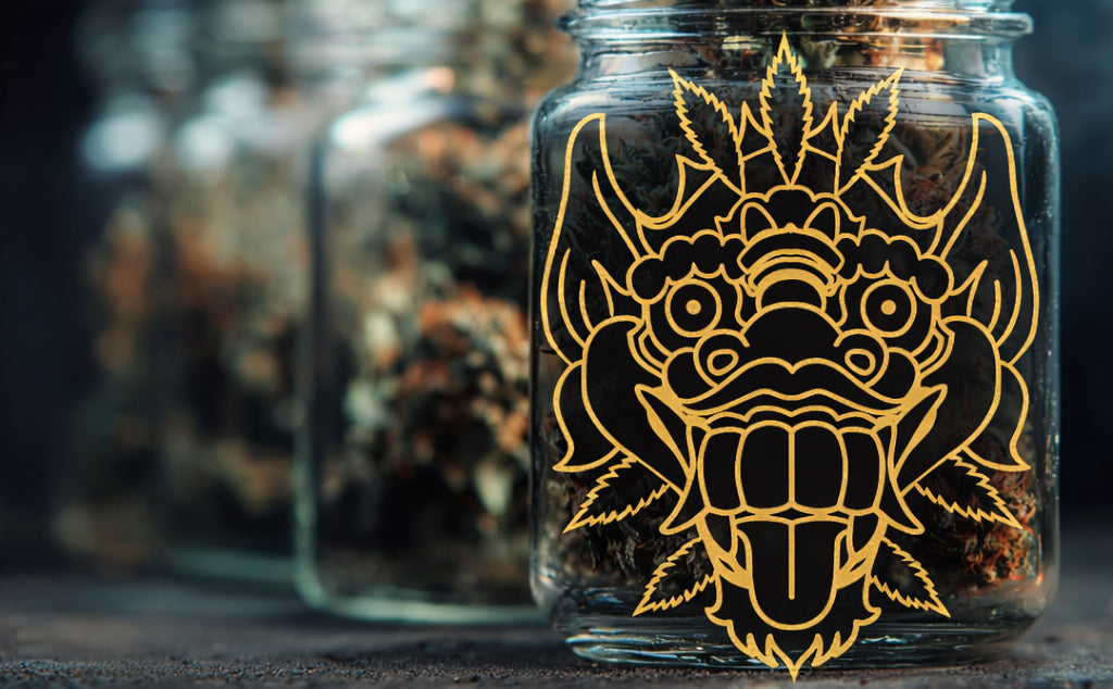 Le Guide Complet du curing Hash et Fleurs